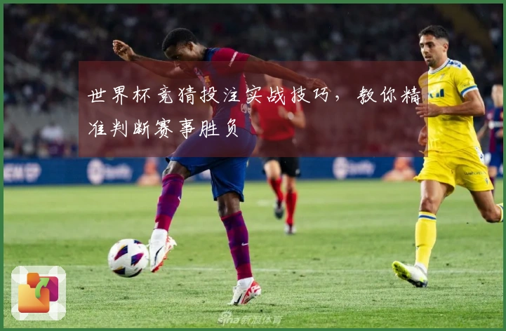 世界杯竞猜投注实战技巧，教你精准判断赛事胜负