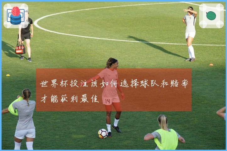 世界杯投注该如何选择球队和赔率才能获利最佳