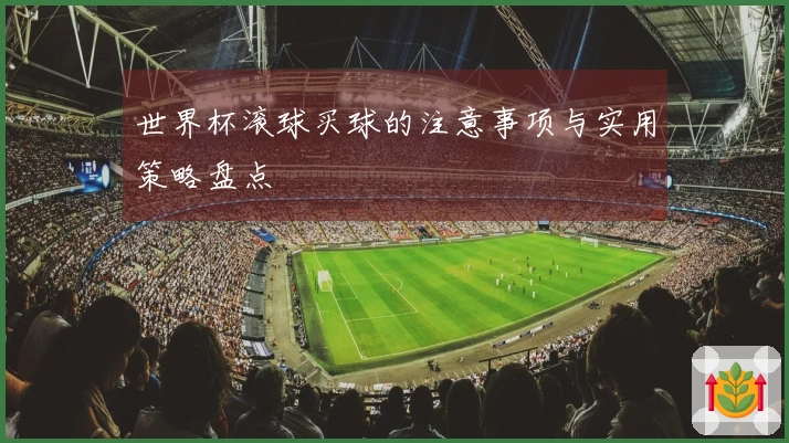 世界杯滚球买球的注意事项与实用策略盘点