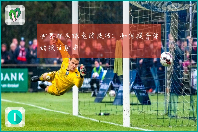 世界杯买球竞猜技巧：如何提升你的投注胜率