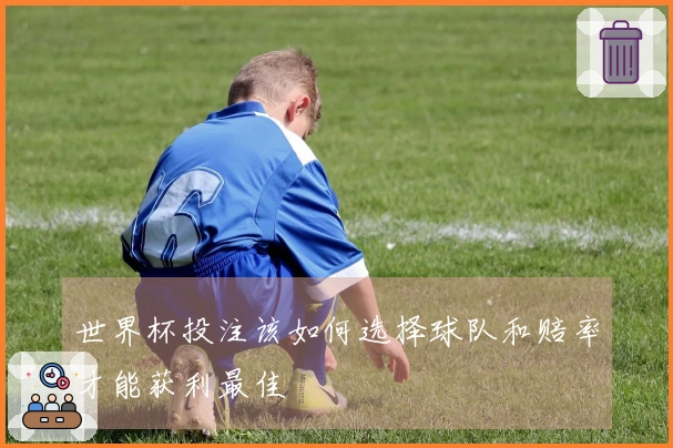 世界杯投注该如何选择球队和赔率才能获利最佳