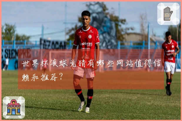 世界杯滚球竞猜有哪些网站值得信赖和推荐？