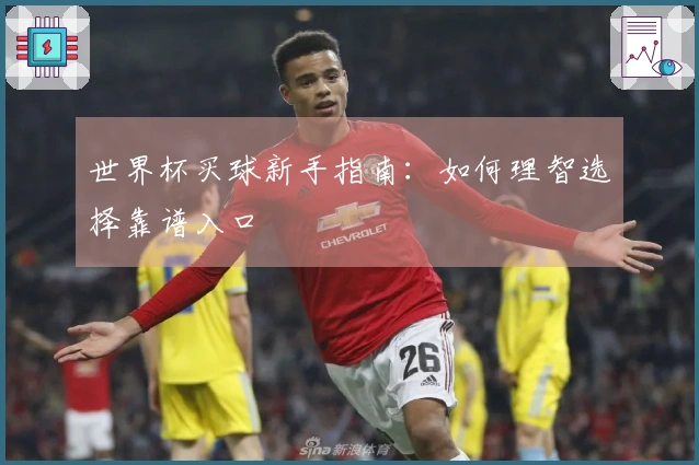 世界杯买球新手指南：如何理智选择靠谱入口