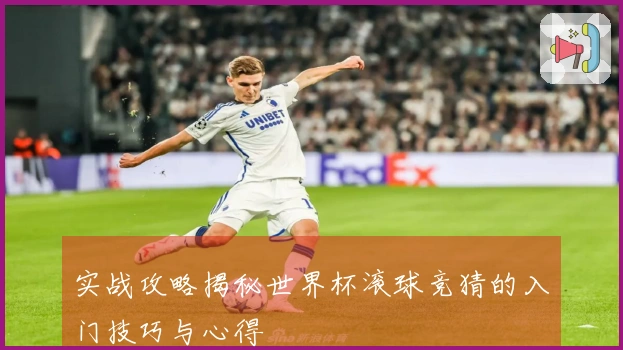 实战攻略揭秘世界杯滚球竞猜的入门技巧与心得