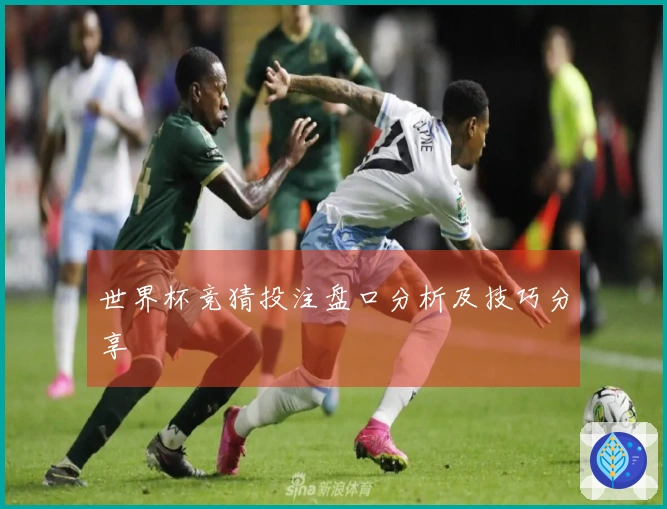世界杯竞猜投注盘口分析及技巧分享
