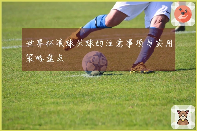 世界杯滚球买球的注意事项与实用策略盘点